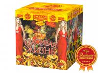 Красивая жизнь Фейерверк купить в Оренбурге | orenburg.salutsklad.ru