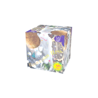 Новогодняя ночь Салют купить в Оренбурге | orenburg.salutsklad.ru