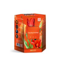 Тюльпаны Салют купить в Оренбурге | orenburg.salutsklad.ru