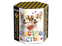 Счастье есть! Салют купить в Оренбурге | orenburg.salutsklad.ru