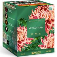 Хризантемы Фейерверк купить в Оренбурге | orenburg.salutsklad.ru