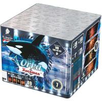 Косатка Фейерверк купить в Оренбурге | orenburg.salutsklad.ru