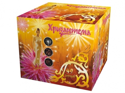 Хризантема Салют купить в Оренбурге | orenburg.salutsklad.ru