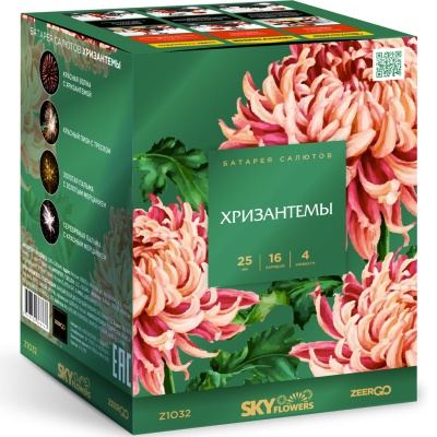 Хризантемы Фейерверк купить в Оренбурге | orenburg.salutsklad.ru