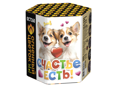 Счастье есть! Салют купить в Оренбурге | orenburg.salutsklad.ru